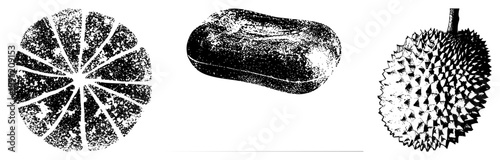 Durian fruit depicted in halftone style as sliced segments, oblong whole form, and covered husk also called musang king or stink fruit, rendered for graphic design.