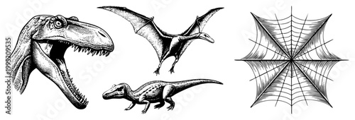 Vintage style paleontology illustration featuring Tyrannosaurus head, flying Pteranodon, bipedal dinosaur, and geometric spiderweb art, Jurassic fauna depiction.