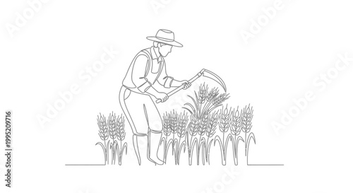 Man working in the farm field.
