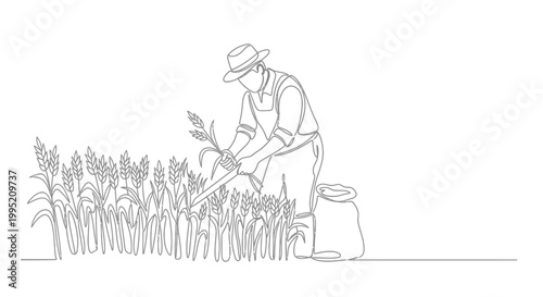 Man working in farm field land.