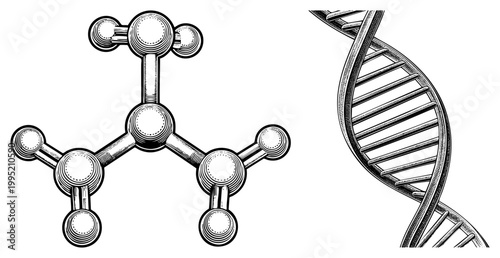 Scientific illustration of chemical molecule and deoxyribonucleic acid helix, vintage engraving, retro science diagram, halftone art, educational graphic.
