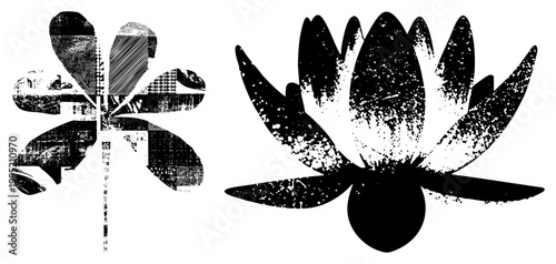 Distressed lotus bloom silhouette with textured petals, stylized water lily graphic, ink splatter motif, botanical illustration.