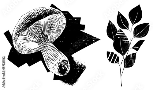 Mycological sketch of gilled fungus and plant sprig, stylized nature drawing, ink style flora art, vintage print aesthetic, organic forms.