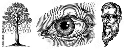 Antique woodcut style graphics featuring a leafy tree adorned with oval pendants, a detailed anatomical eye, and a stern bearded gentleman classic etching motifs for or esoteric design.