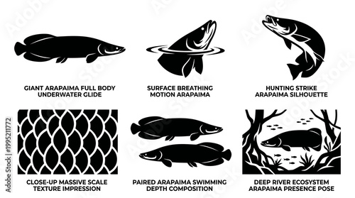 Giant Arapaima Fish Icon Set Silhouettes - Wildlife Biology Nature Vector Glyphs Black White