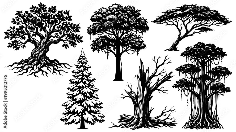 Obraz premium Diverse Tree Silhouettes Vector Set - Nature Environment Engraved Black White Illustrations