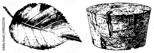 Botanical leaf sketch and tree stump cutout rendered in halftone style, ideal for nature themed graphics, ecological designs, or educational illustrations.