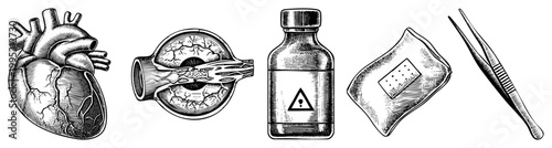 Anatomical drawings of heart, eye, vial, bandage, tweezers classic engraving style for education or clinical use.