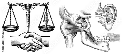 Law with scales, sword, handshake anatomical skull, jaw, ear. jurisprudence emblem, forensic anatomy.