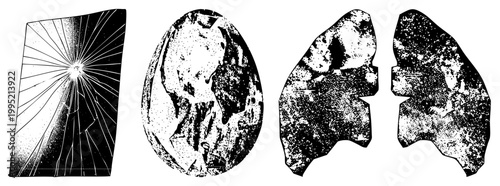 Stippled graphics showing shattered pane, petrified ovum, and pulmonary lobes vintage engraving style, dot matrix art, scientific diagram aesthetic.