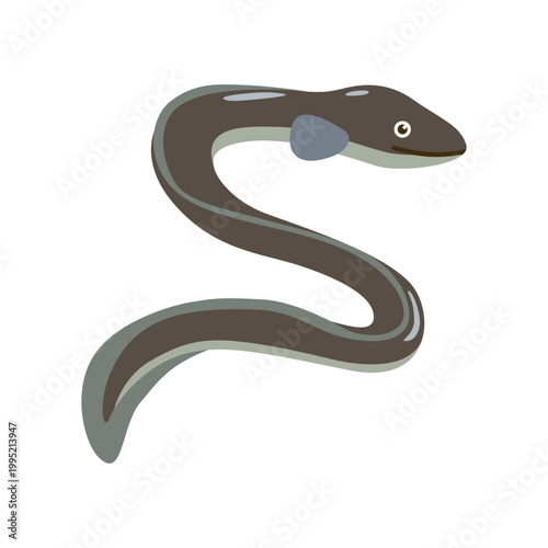 うなぎのイラスト