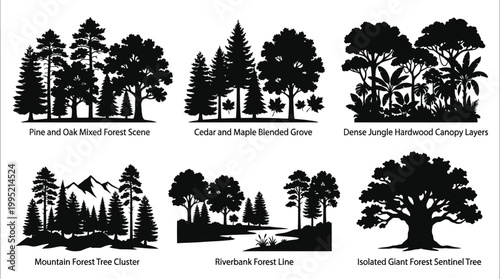 Nature Forest  Tree Vector Silhouettes Collection - Pine, Oak, Cedar, Maple, Jungle, Mountain Scenes