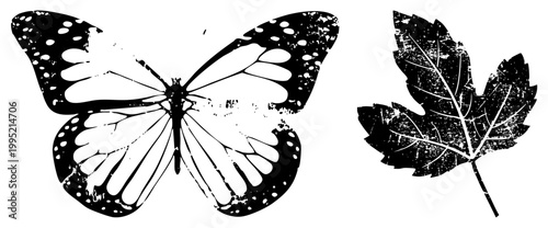 Vintage style butterfly cutout with spotted wings paired with a veined leaf graphic both feature weathered halftone grain, ideal for eco designs or projects.