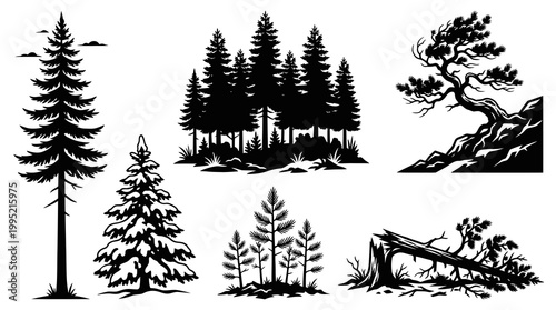 Black and White Silhouette of Pine Trees and Fallen Log in Forest