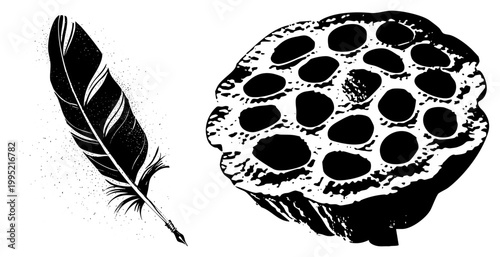 Stylized quill pen with feather shaft and lotus pod section, inkwell writing tool and aquatic plant seed container, hand drawn halftone graphic for logos or decor.