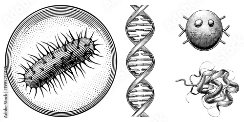 Microbial cell culture visualization, prokaryotic organism depiction, genetic material diagram, viral particle sketch, macromolecule rendering biological science illustration.