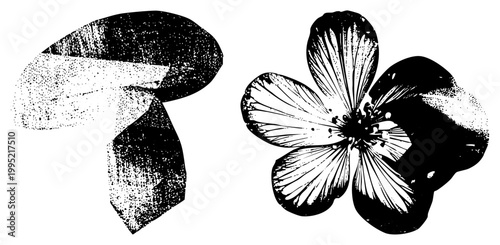Stylized black and white and ribbon motif rendered in halftone technique, ideal for vintage labels or print also called stipple art or dot matrix graphic.