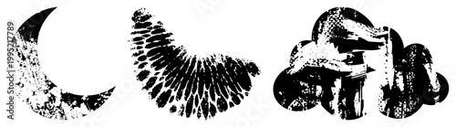 Rugged celestial symbols moon, feathered wing, cumulus cloud ideal for mystical branding or weather graphics. Alt names distressed lunar motif, textured astral elements.