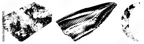 Prehistoric fish illustration, paleontological specimen, ichthyosaur remnant, geological artifact, silhouette, scientific diagram.