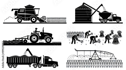 Agriculture Farming Process Glyph Icons Set. Grain Harvest, Planting, Irrigation Black White Silhouette