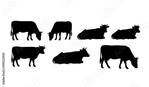 Cow silhouettes set with various poses including standing grazing walking and resting isolated vector