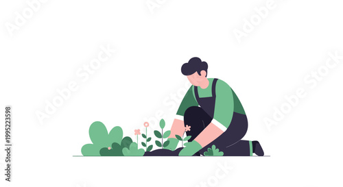 A male gardener kneeling and carefully tending to small green plants and flowers in a garden. EPS Editable. Vector Illustrations.
