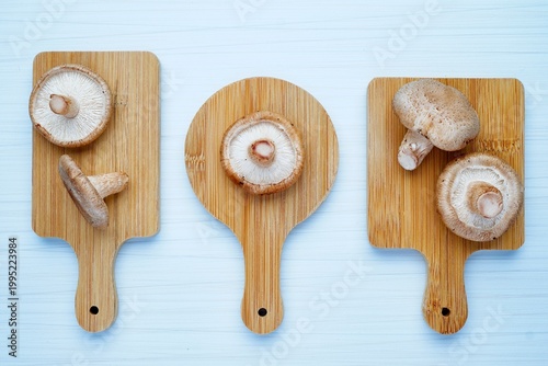 Flat lay of displayed shitake mushrooms
