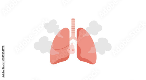 Anatomical illustration of human lungs with surrounding clouds of smoke. EPS Editable. Vector Illustrations.