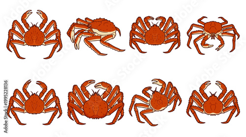 Collection of eight red crabs with multiple legs and claws shown in different poses on a white background.