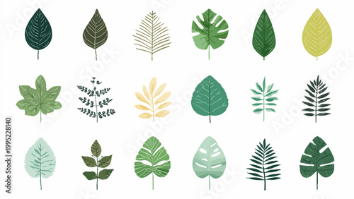 Large collection of various tropical and forest leaves isolated on white background. Flat vector botanical set featuring monstera, palm, and fern foliage in green and yellow tones for nature design.