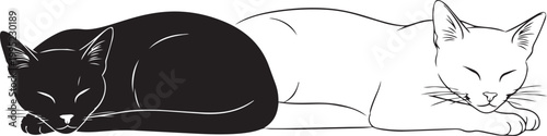 Two cats sleeping together in black and white minimalist line art illustration for creative design.