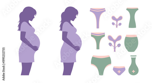 Silhouettes of a pregnant woman with icons for menstrual hygiene and reproductive health care