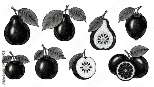 Vintage Botanical Illustration of Assorted Fruits with Leaves.