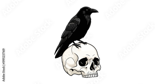 Black raven perched on human skull gothic illustration.