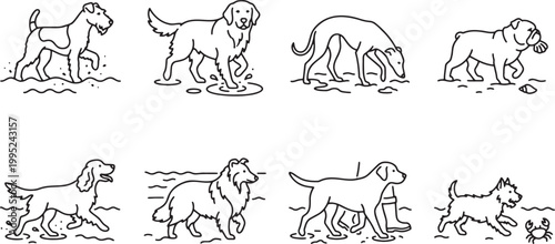 Outdoor adventure icons with dogs walking in mud and water