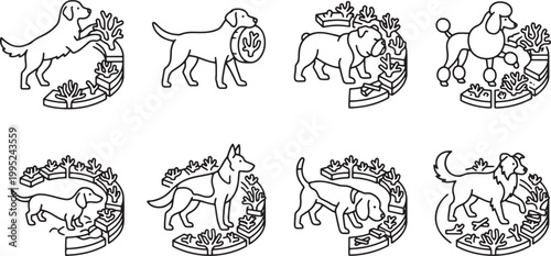 Dogs exploring and protecting underwater coral reefs and circular ecosystems