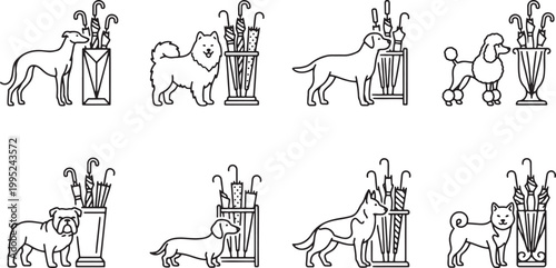 Various dog breeds standing next to decorative umbrella stands in a home entrance