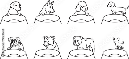 Cute dogs peeking over food bowls waiting for dinner meal