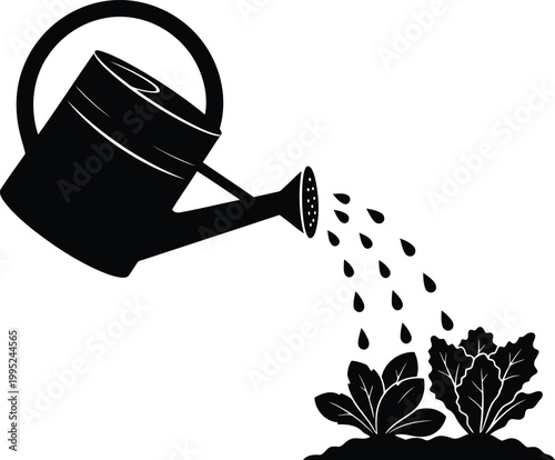 Black silhouette icon of a watering can pouring water on small green vegetable plants in the garden soil for agriculture and farming concept