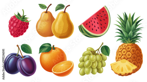 Colorful selection of fresh tropical fruits illustration Vector