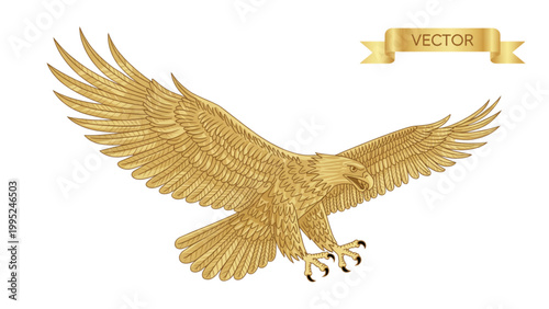Golden eagle bird soaring in clear sky with wings spread wide Vector