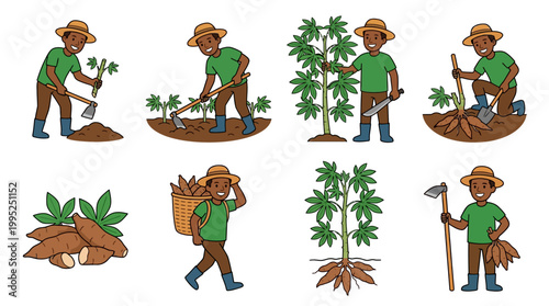 A set of flat cartoon illustrations showing a smiling farmer performing various agricultural tasks during the cassava harvesting process