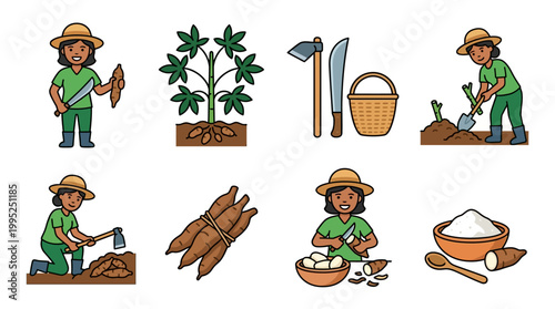 Set of cartoon icons showing a friendly woman farmer harvesting processing and preparing fresh cassava tubers for daily food consumption