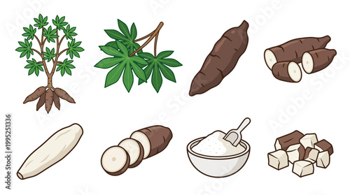 Collection of cassava plant illustrations featuring raw roots, sliced tubers, fresh leaves, starch powder, and chopped cubes for cooking use