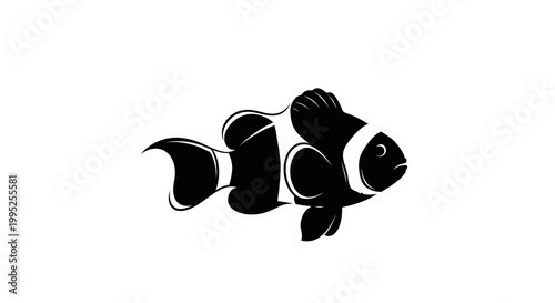 Black and white clownfish swimming.