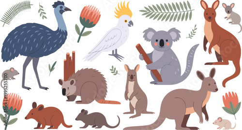 Tableau sur toile Flat minimalist illustration of Australian wildlife featuring emu cockatoo koala