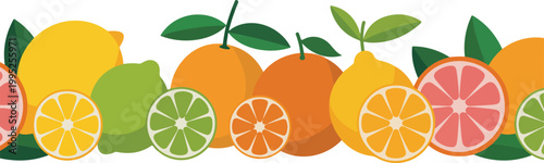 Flat minimalist illustration of citrus fruits with lemons limes orange and grapefruit slices arranged on white background