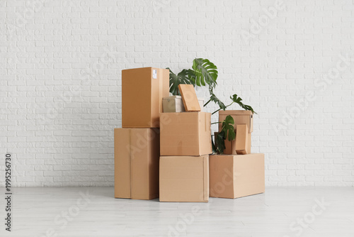 Cardboard boxes with palm p...