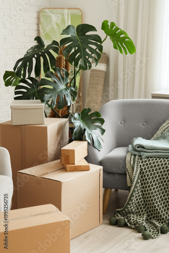 Grey armchair with palm pla...