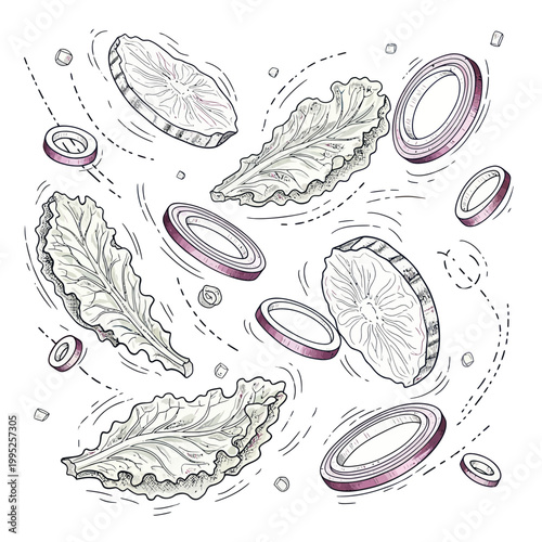 Lettuce leaves and coin money falling.